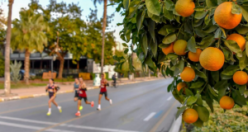 7. Uluslararası Van Çaldıran Maratonu Heyecanı Başlıyor: Kayıtlar İçin Son Gün 10 Aralık!